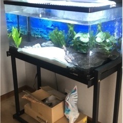 水槽セット