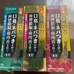 サンスター 生薬 歯磨き 3本セット
