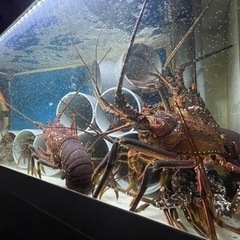 活魚水槽
