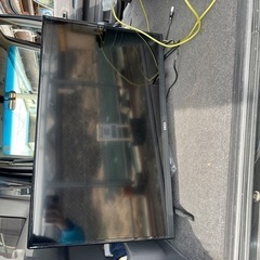 テレビ