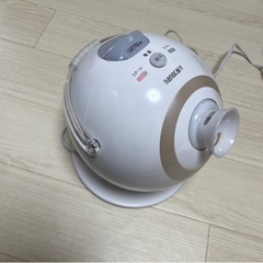 ナノイースチーマー　箱ありの画像