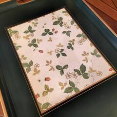 廃盤品 WEDGEWOOD ウェッジウッド ワイルドストロベリー トレー お盆  Limited●E022M320の画像