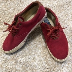 P o Lo    メンズ
