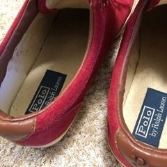 P o Lo    メンズの画像