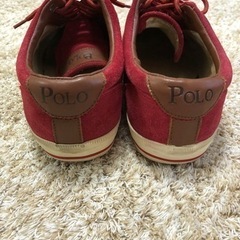 P o Lo    メンズの画像