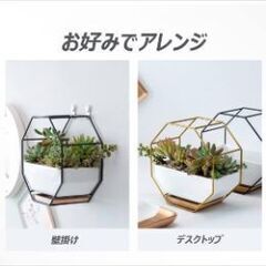 八角形　風水　☘️プランター☘️　壁かけ　卓上　多肉植物の画像