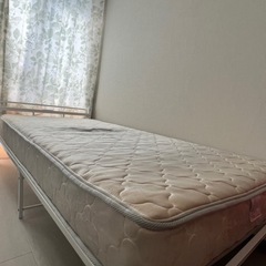 お譲り先　決定の画像