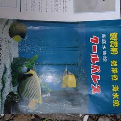 水槽と飼育セットの画像