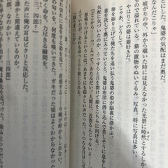 はけんねこ　本の画像