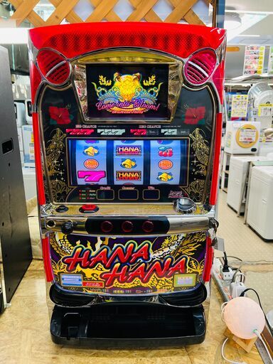 ドラゴンハナハナ‐30 スロット実機