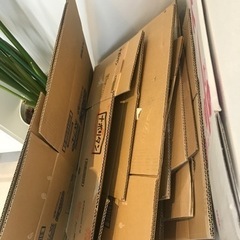 段ボール