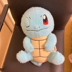 ポケモンぬいぐるみ　ゼニガメ