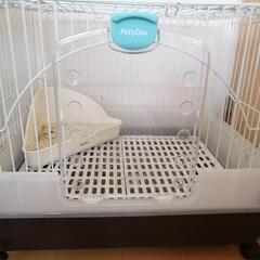 うさぎ小屋