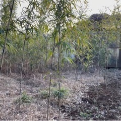 神奈川県伊勢原市上粕屋 ＃129 不動産0円物件 − 神奈川県