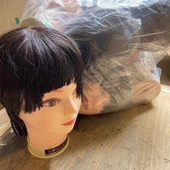 🥔🧄🥒🥕🫑🧅豊作です🍆🍅🍠🥦🥬🥑🌽6体