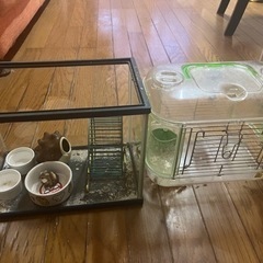 ハムスターゲージ