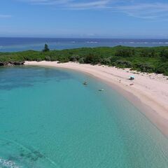 マリンスタッフ募集の画像