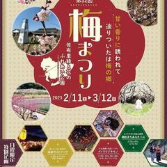 【本日夕方・知多】梅まつりのライトアップ楽しみましょー♪