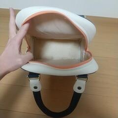 ゴルフ　シューズバッグ　ミズノの画像