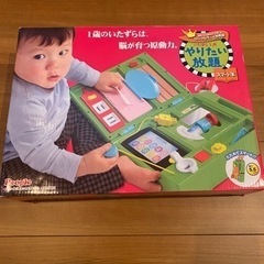 【いたずら1歳 やりたい放題】知育おもちゃ