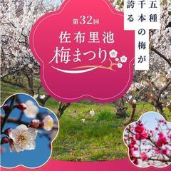 【本日夕方・知多】梅まつりのライトアップ楽しみましょー♪ - 名古屋市