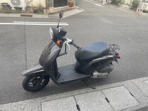 today ブラック　自賠責　令和6年11月