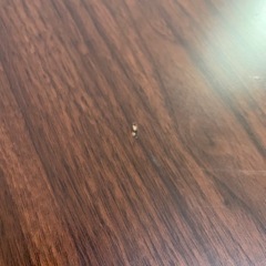 椅子＆テーブルセットの画像