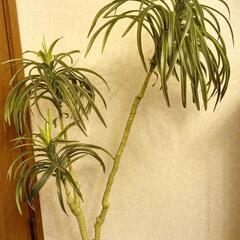 観葉植物　造花