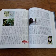 ジャポニカ百科事典の画像