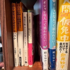 犬山紙子 本13冊セット 地雷手帳　邪道モテ 嫌われ女子などの画像