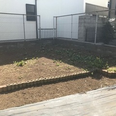 草‪🌱‬むしり