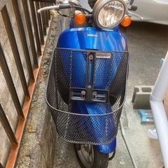 【商談成立】ホンダ　トゥデイAF67