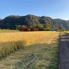 【17】受け渡し済🙇‍♂️格安⭐️庄内産令和4年新米ヒノヒカリ　...