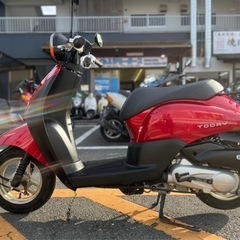 【実走行•超低走行‼️】ホンダ　トゥデイ　FI人気の車❤️‍🔥【レンタルも好評受付中】の画像