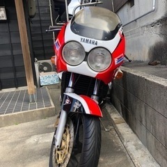 FZR250