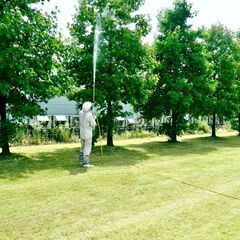 時給１２５０円～！元気に体を動かすのが好きな方☆造園職人の補助（フルタイムアルバイト）の画像