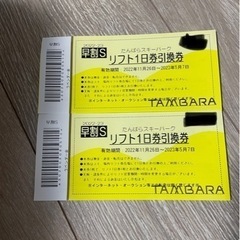 たんばらスキーパークのリフト1日券