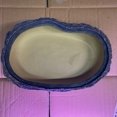 再出品！水盆 初めてみませんか？の画像