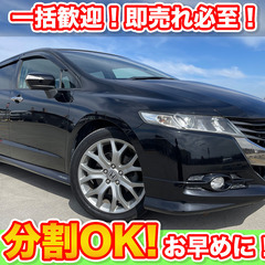 🉐分割払いOK★オデッセイ【アブソルート】記録簿/ハーフレザーシ...