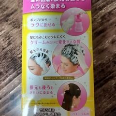 値下げ、未使用、ビゲン/クリーミーフォームヘアカラー /キャラメルブラウンの画像