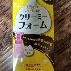 値下げ、未使用、ビゲン/クリーミーフォームヘアカラー /キャラメルブラウンの画像