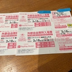 3/18（土）14時オープン戦外野チケット4枚セット