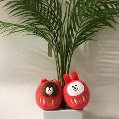 ブラウン＆コニー、幸福だるま🐈の画像