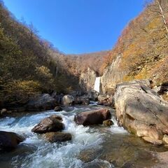 早朝募集「時給1200円」塾案内を手渡し配布の画像