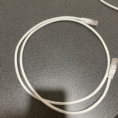 120cmのLANケーブル