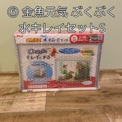 ⑥ 金魚元気 ぶくぶく水キレイセットS