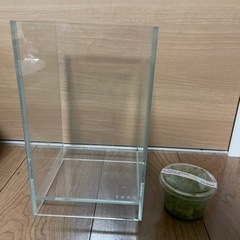 ADA DOOA ネオグラスエア　オマケ水草付き