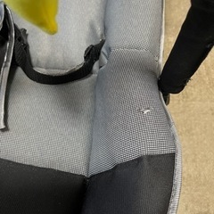 カトージ　バウンサーの画像