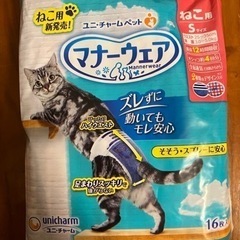 猫用マナーウェアSサイズ13枚