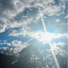 散歩 - 世田谷区